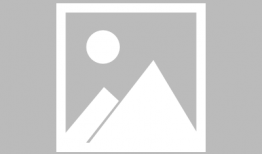 龙珠漫画 在线观看,在线观看，探索悟空的宇宙冒险之旅